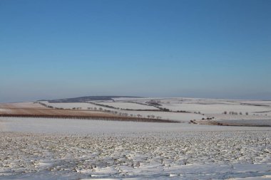 Arka planda ağaçlar olan kış tarlası