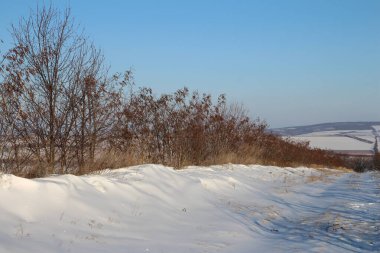 Kuru çimlerle kaplı güzel bir kış manzarası.