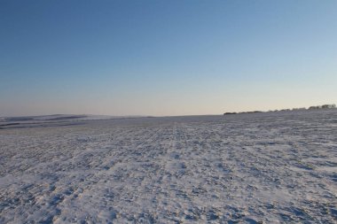 Kar ve ağaçlarla kaplı kış manzarası