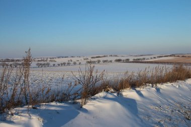 kış manzarası, kar - kaplanmış tarlalar ve tarlalar.