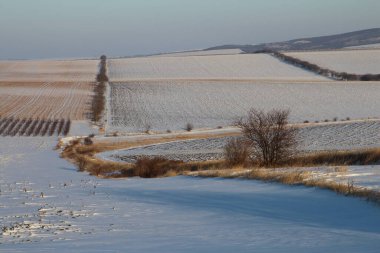 Karla kaplı ağaçlarla kaplı kış manzarası