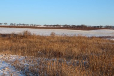 Kış manzarası karla kaplı tarlalarda
