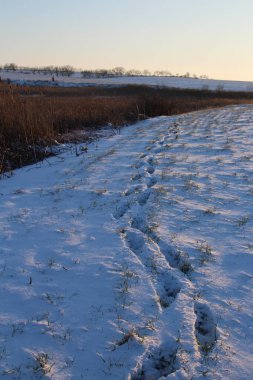 Kırsalda karla kaplı tarlalar