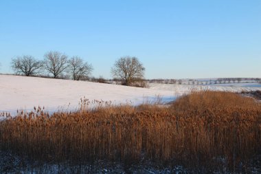 Kış manzarası karla kaplı bir çayır ve bir çimen tarlası.