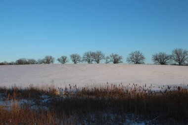 Kış tarlasında kar.