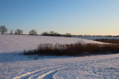 Kış manzarası. İlk kar, güneş karların üzerinde parlıyor..