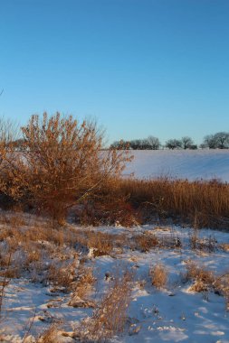 Kışın boş bir tarlanın güzel bir görüntüsü.