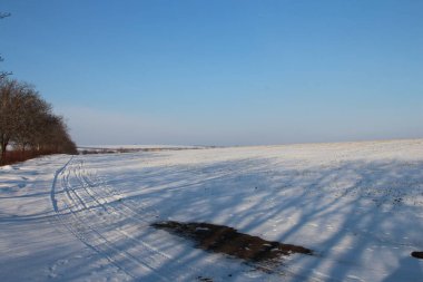 Ağaçlarla kaplı güzel bir kış manzarası.