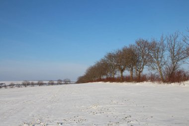 Kırsalda karla kaplı tarlalar