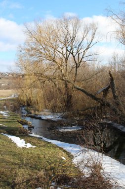 Arka planda ağaçlar olan bir tarlanın içinden akan bir dere.