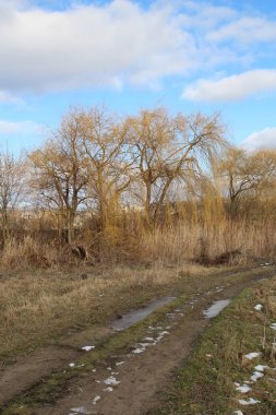 Yanında su birikintisi olan toprak bir yol.