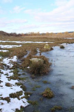 Donmuş bir gölet ve birkaç çimen parçası.