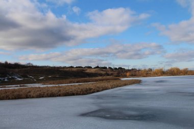 Arka planda birkaç ağaç olan donmuş bir göl.