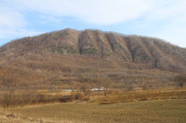 Ormandaki bir dağın güzel manzarası.