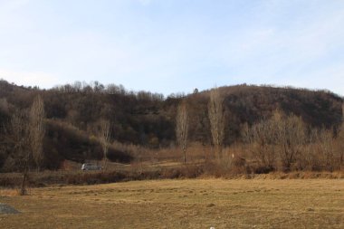 Ağaçlı ve tepeli bir ormanın güzel bir görüntüsü.