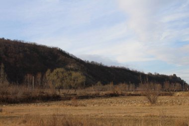 Ağacı ve gölü olan güzel bir manzara.