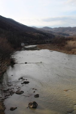 Nehir ve ağaçlarla dolu güzel bir manzara