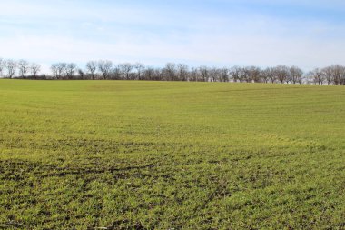Nisan 'da baharda yeşil alan, Almanya