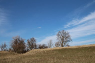 Arazi ve mavi gökyüzü ve arka planda beyaz bulutlar