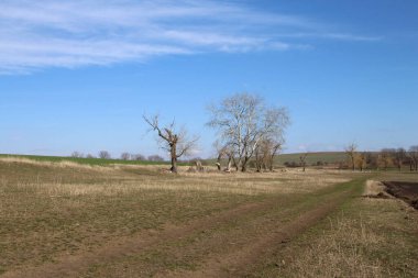 Doğanın güzel manzarası