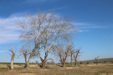 Doğanın güzel manzarası