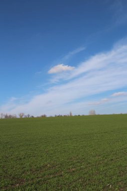 Mavi gökyüzü ile yeşil alan