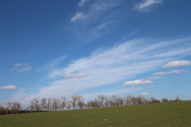 Bahar alan mavi gökyüzü ile