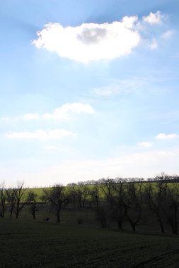 Ağaçlı ve bulutlu güzel bir manzara.