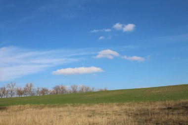 Tarlanın güzel manzarası
