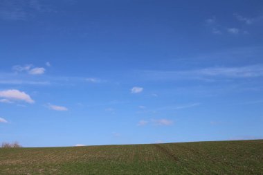 Yeşil tarla ve bulutlu gökyüzü