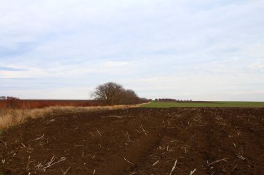 Bahar'ın sürülmüş alana