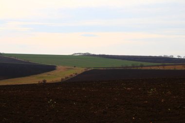 Yeşil çimenli ve mavi gökyüzüyle manzara