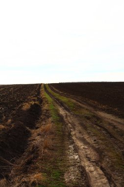 Kırsalda toprak yol, bahar zamanı.