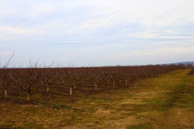 Doğanın güzel manzarası