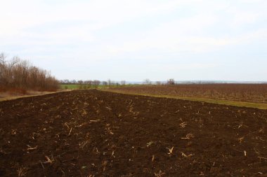 Bahar'ın sürülmüş alana