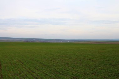 Doğanın güzel manzarası