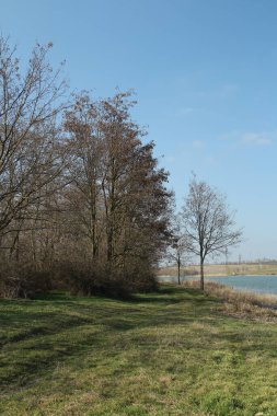 Parktaki nehrin güzel manzarası