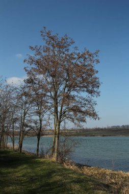Nehir kıyısındaki bahar manzarası