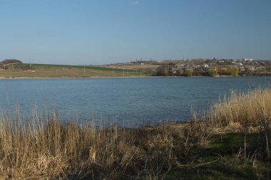 Doğanın arka planında güzel bir göl