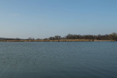 Güzel göl manzarası