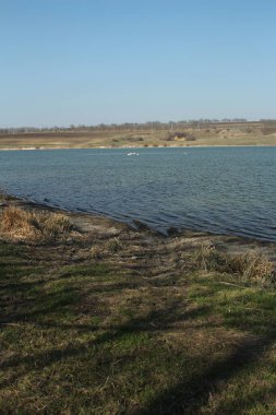 Nehir ve ağaçlarla kaplı bahar manzarası
