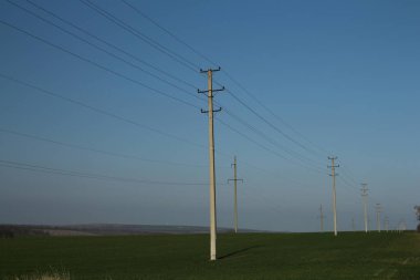 Çayırın ortasında elektrik hatları