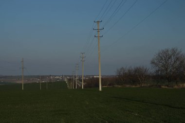 Sabah kırsal kesimde elektrik direkleri.
