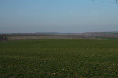 Bahar yeşil alanlar