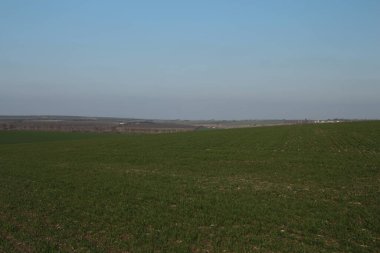 Kırsal ve tarlaların manzarası