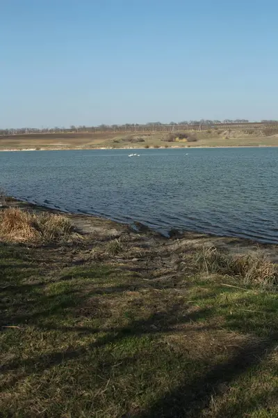 Nehir ve ağaçlarla kaplı bahar manzarası