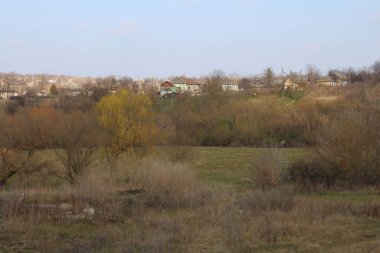 Ağaçlar ve bitkilerle dolu güzel bir bahar manzarası