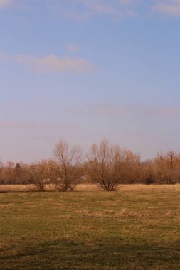 Bulutlu bir gökyüzünün altındaki kırsal bir arazinin güzel manzarası