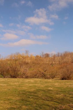 Güneşli bir sonbahar gününde mavi gökyüzünün altındaki tepenin önündeki ağaçların ve çimenlerin dikey görüntüsü.