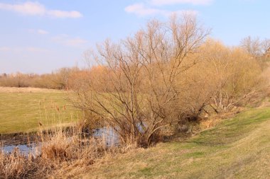 Doğanın güzel manzarası